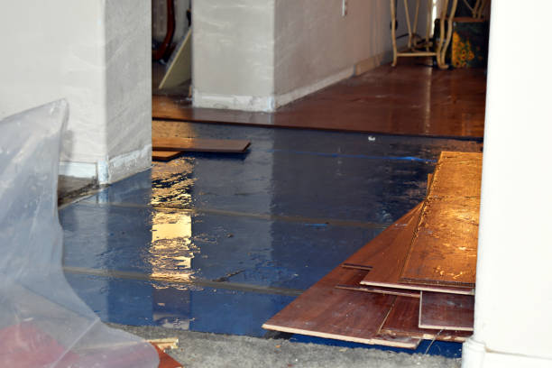 Professional Sewage Cleanup technician working in Providence, RI