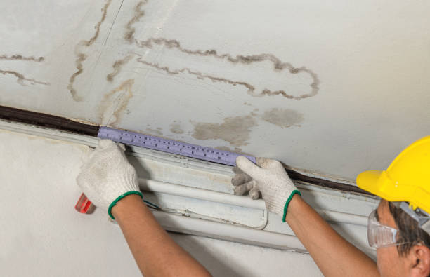 Reliable Sewage Cleanup contractor in Providence, RI by Water Damage Irwin